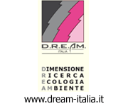 Dream
