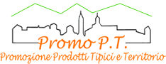 Promo PT logo
