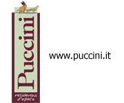 Residenza d Epoca Puccini